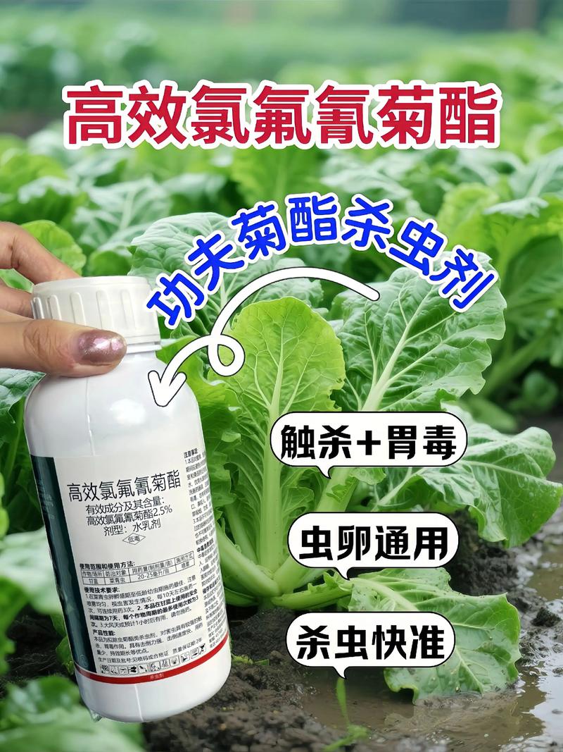 湛江代生中心:农药对供卵代生妈妈的危害